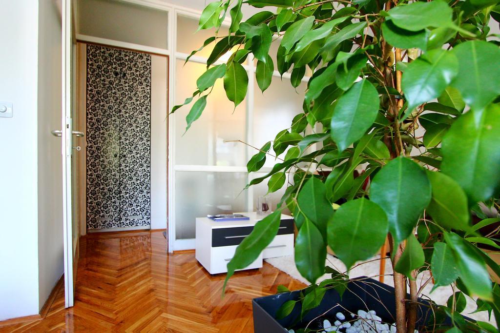 Apartament Melon Zagrzeb